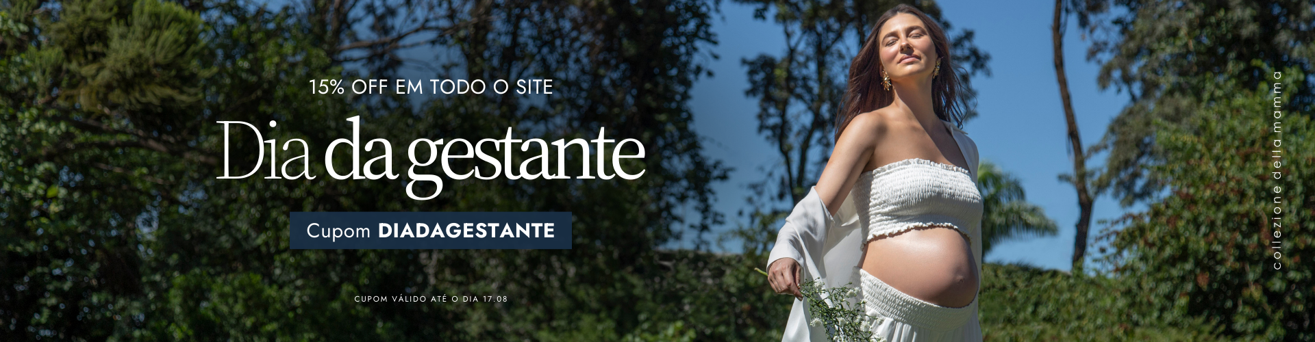 banner desktop